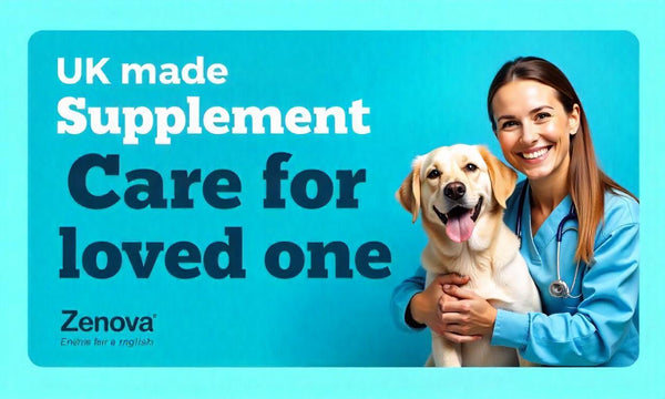 Boost Your Dog's Health with Probiotics: Why They’re Essential for Your Furry Friend
