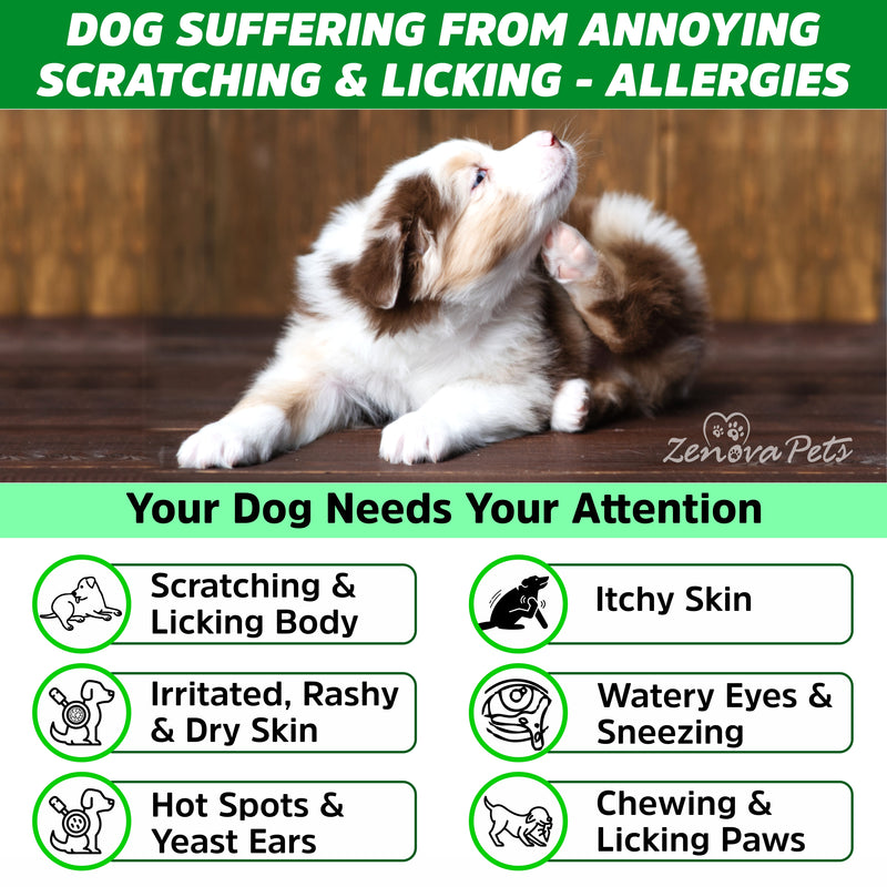 Dog Allergy & Itch Relief Chews - Soothes Itchy Skin, Paws, Ears & Allergies ( Pack Of 3)