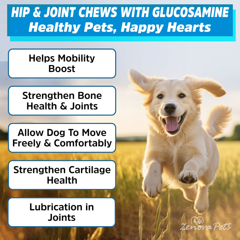 Advance Hip & Joint Supplement for Dogs - Mobility & Joint Health Support with Glucosamine (3 PACK)