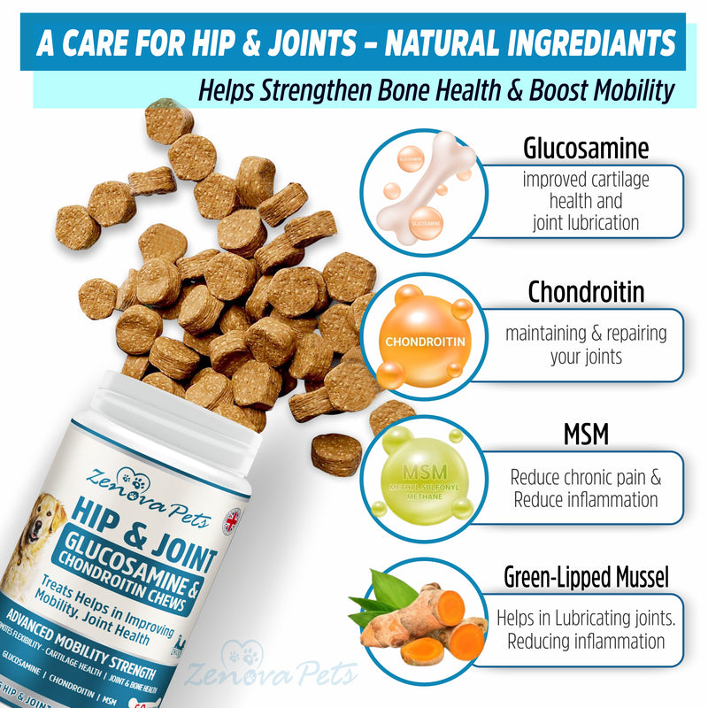 Advance Hip & Joint Supplement for Dogs - Mobility & Joint Health Support with Glucosamine (3 PACK)