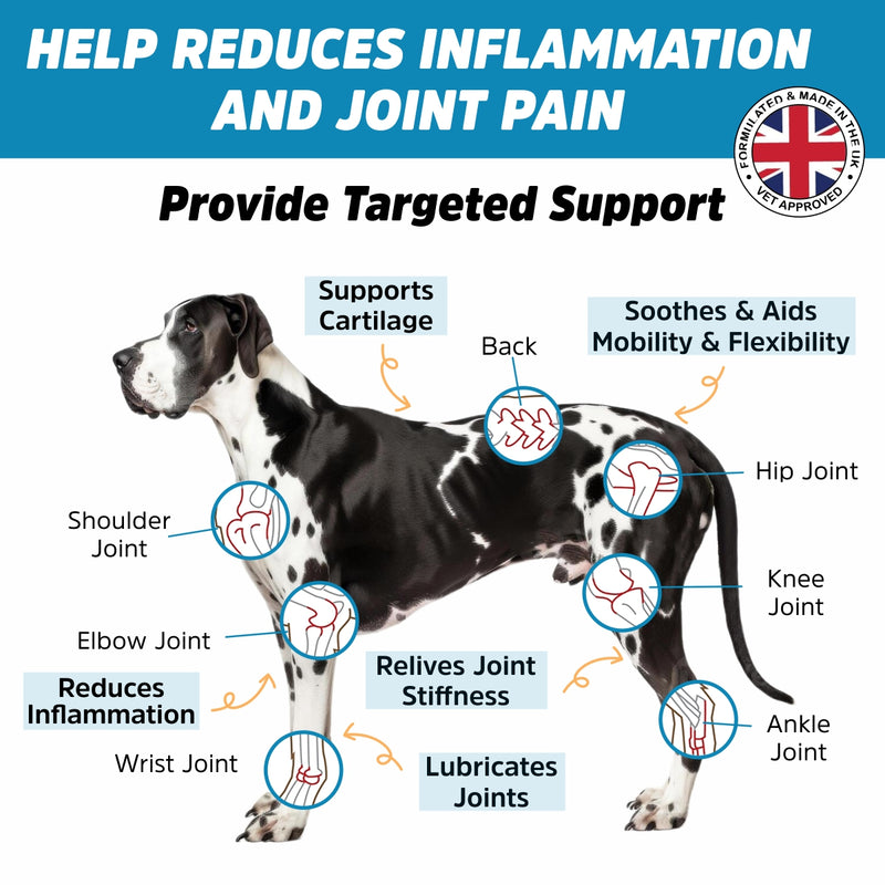 Advance Hip & Joint Supplement for Dogs - Mobility & Joint Health Support with Glucosamine (3 PACK)