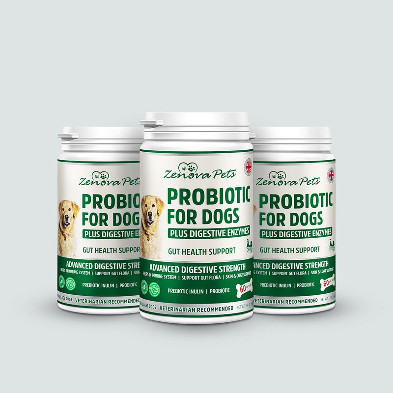 Probiotic for Dogs Gut Health, Prebiotic & Enzyme for Sensitive Tummy - UK MADE (Pack of 3)