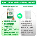 Probiotic for Dogs Gut Health, Prebiotic & Enzyme for Sensitive Tummy, UK MADE Dog Digestive Care