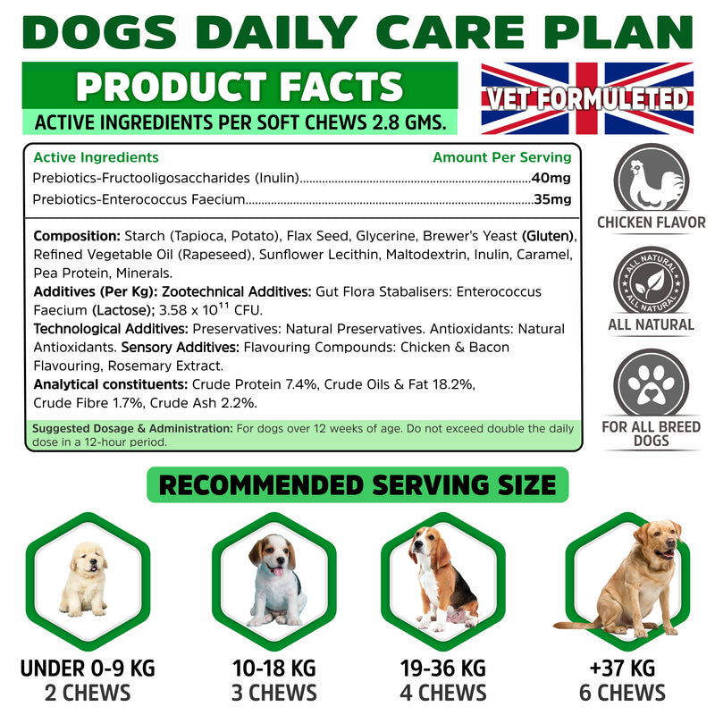 Probiotic for Dogs Gut Health, Prebiotic & Enzyme for Sensitive Tummy, UK MADE Dog Digestive Care