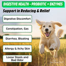 Probiotic for Dogs Gut Health, Prebiotic & Enzyme for Sensitive Tummy, UK MADE Dog Digestive Care