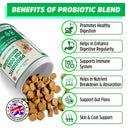 Probiotic for Dogs Gut Health, Prebiotic & Enzyme for Sensitive Tummy, UK MADE Dog Digestive Care