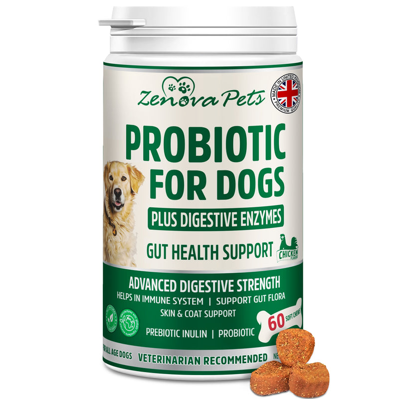 Probiotic for Dogs Gut Health, Prebiotic & Enzyme for Sensitive Tummy, UK MADE Dog Digestive Care